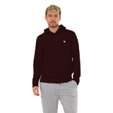 2 Pack Men's Lightweight Jersey Pullover Hoodie Long Sleeve Hooded T-Shirt for Gym & Everyday Wear S-3XL